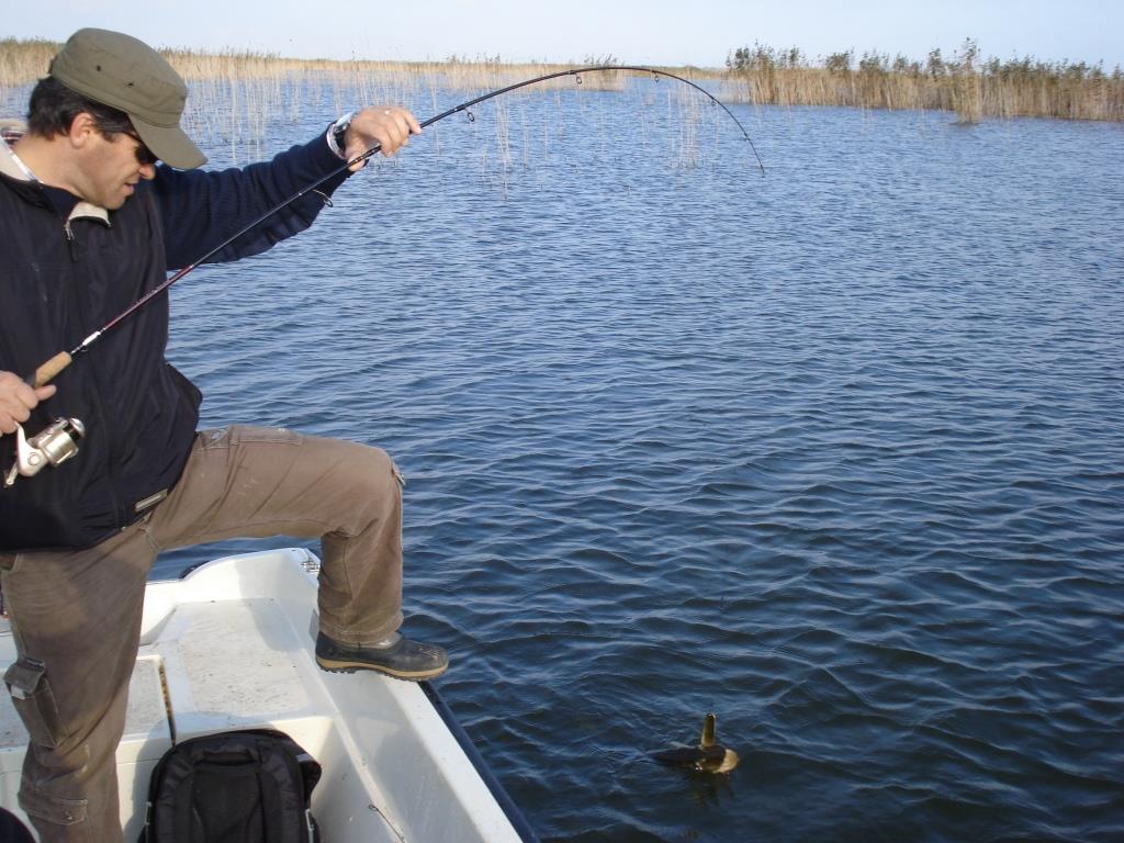 Stiucareala - dsc02132.JPG